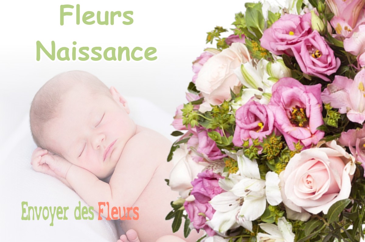 lIVRAISON FLEURS NAISSANCE à MAYNAL